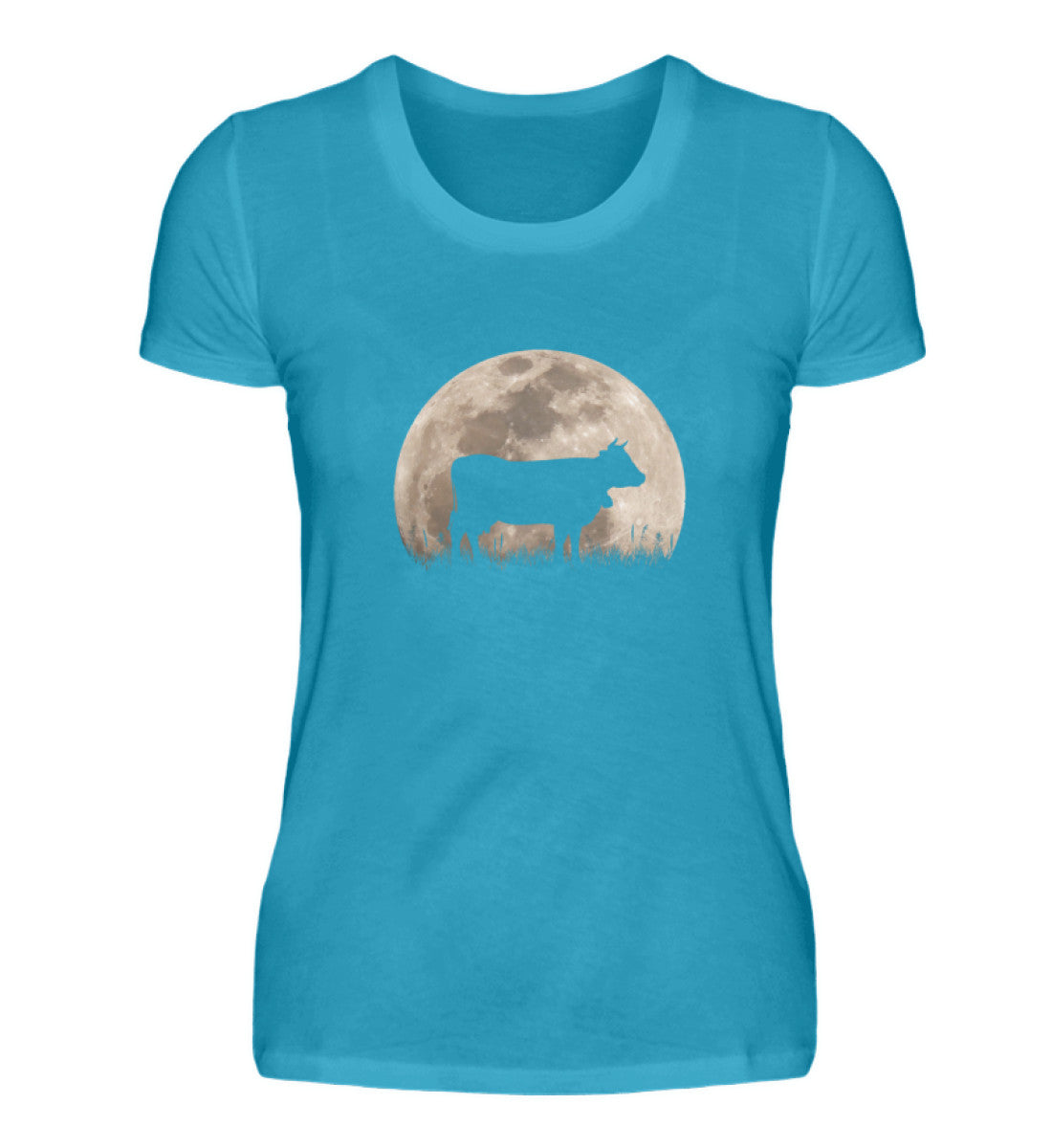 Turquoise-3175